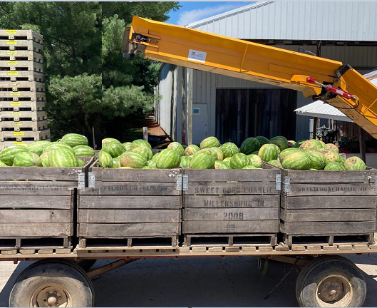 Jornaleros agrícolas para cosechar cultivar clasificar envasar frutas y verduras