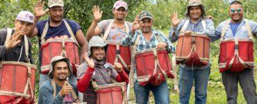 Jornaleros agrícolas para podar recoger melocotoneros y manzanos