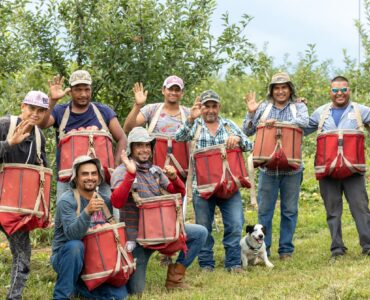 Jornaleros agrícolas para podar recoger melocotoneros y manzanos