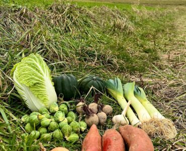 trabajos del campo de vegetales