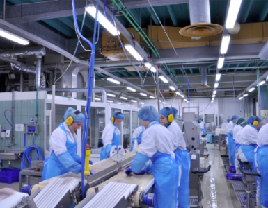 procesamiento de mariscos y pescados