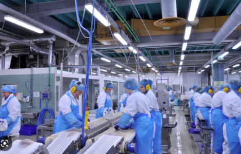 procesamiento de mariscos y pescados