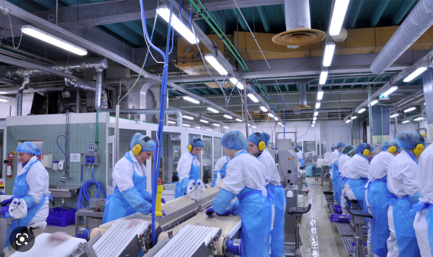 procesamiento de mariscos y pescados