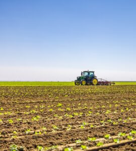 Solicitamos cuadrilla de trabajadores pesados en el cobertizo de cebollas