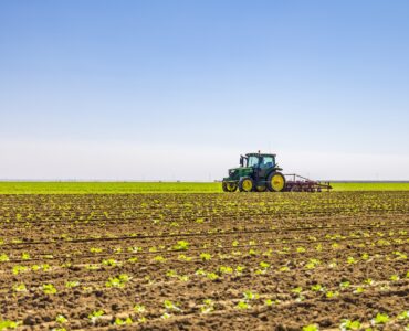 Solicitamos cuadrilla de trabajadores pesados en el cobertizo de cebollas