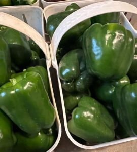 cosecha de pimientos