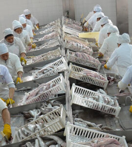 Trabajadores de plantas de pescado