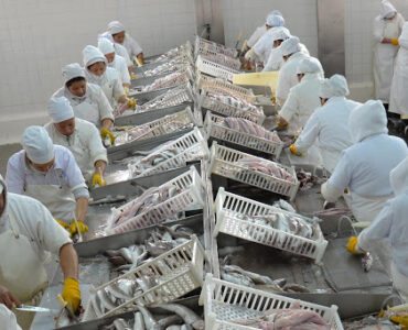 Trabajadores de plantas de pescado