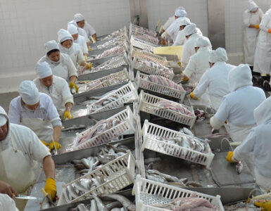 Trabajadores de plantas de pescado