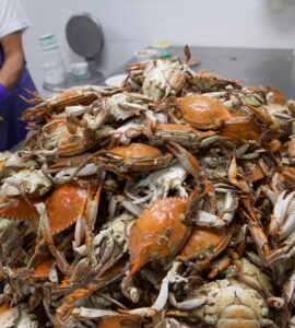 Procesadores de mariscos