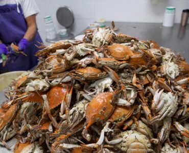 Procesadores de mariscos