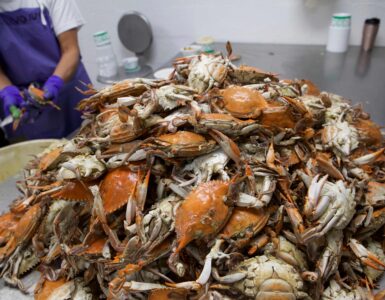 Procesadores de mariscos