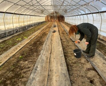 cosecha de frutas y vegetales