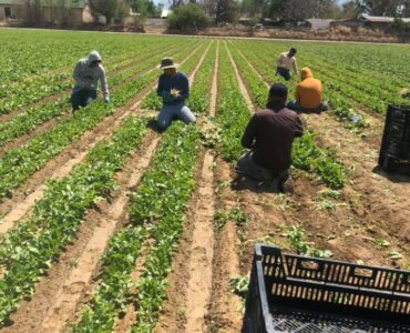 Puesto de trabajador de granja H-2A