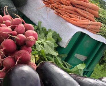 cultivos de campo a mano de frutas y verduras