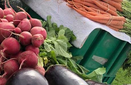 cultivos de campo a mano de frutas y verduras