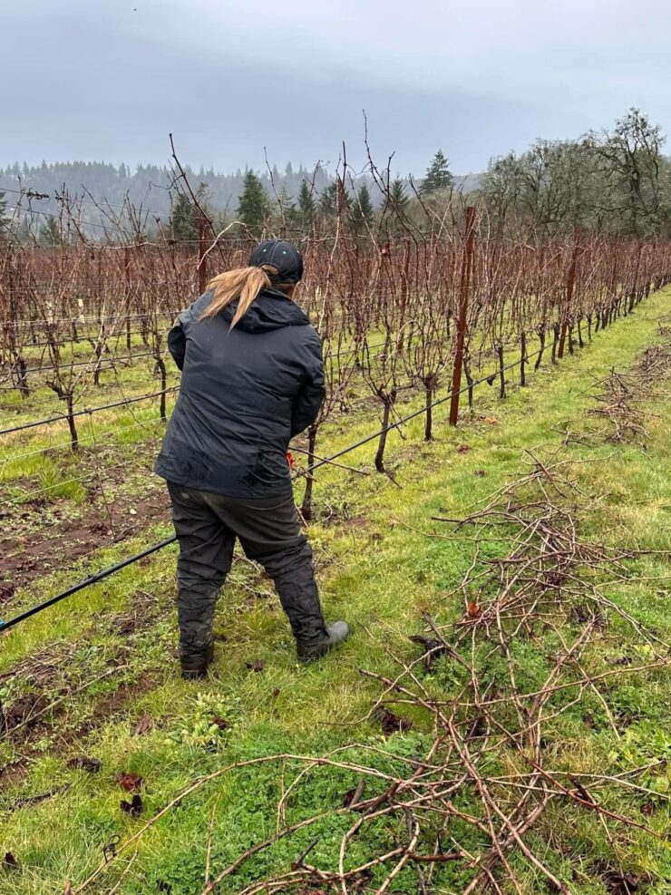 Poda, desbroce, atado, elevación de zarzas, deshojado por contrato/por acre