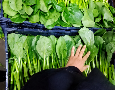 Trabajadores de empaque y procesamiento de verduras manualmente